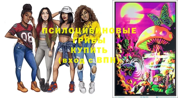 сатива Армянск