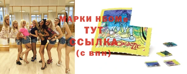 гидра Аркадак