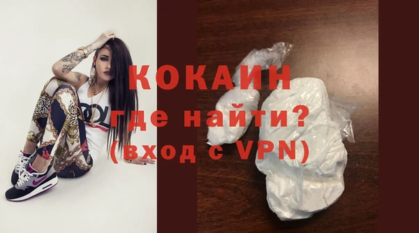 молекула духа Арсеньев