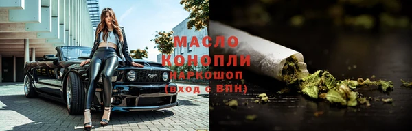 молекула духа Арсеньев