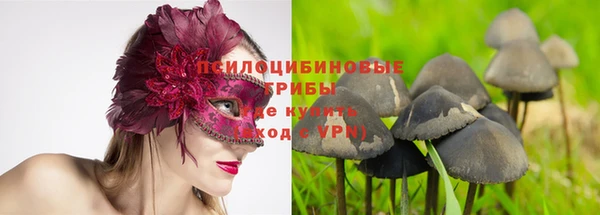 сатива Армянск