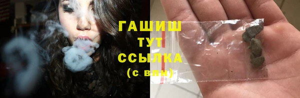 гидра Аркадак