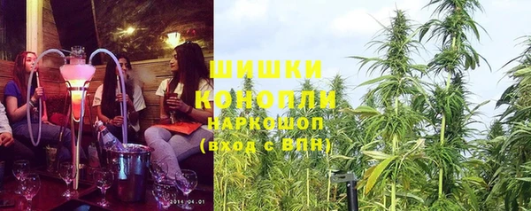 сатива Армянск