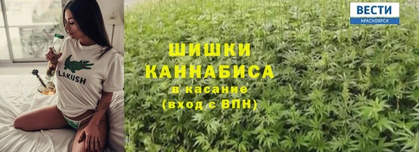 молекула духа Арсеньев