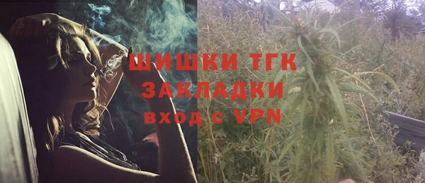 сатива Армянск
