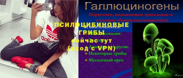 молекула духа Арсеньев