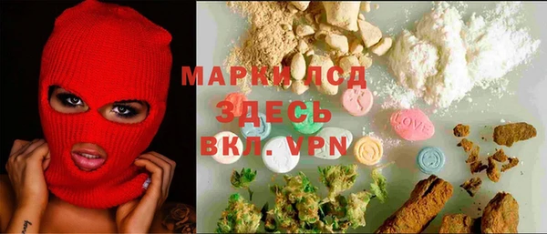 гидра Аркадак