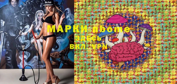 молекула духа Арсеньев
