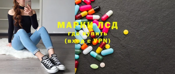 гидра Аркадак