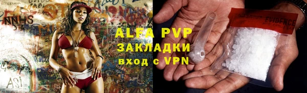 молекула духа Арсеньев