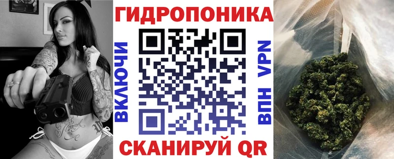 купить Армянск Шишки марихуана Amnesia